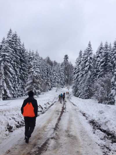 Düzce Yürüyüş Parkurları